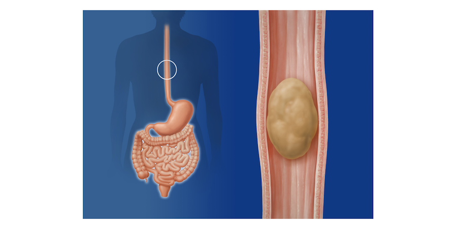 Does Your Body Process Food While You Sleep