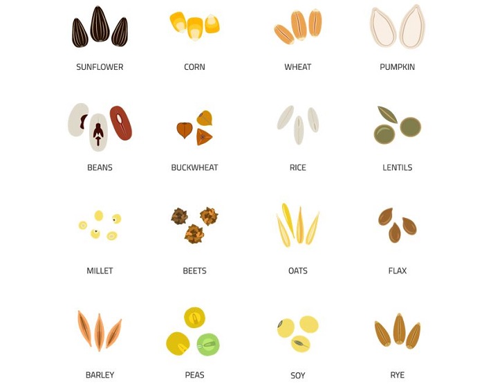 different seeds