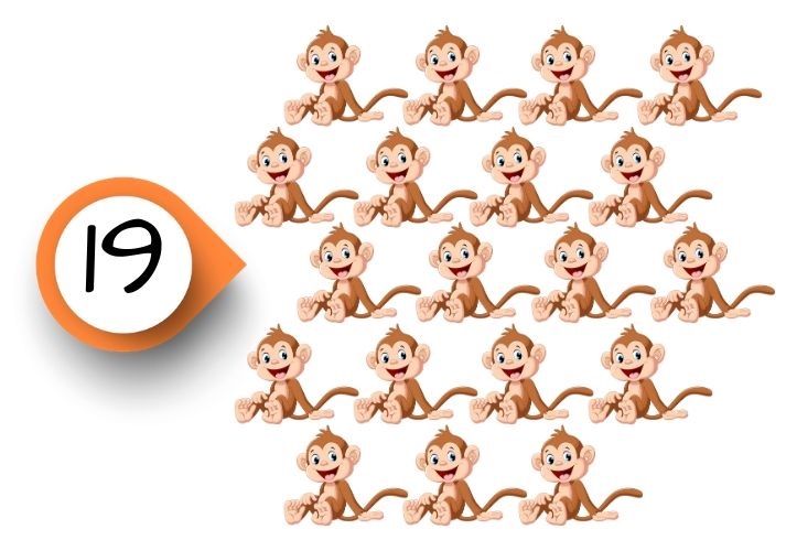 19 monkeys
