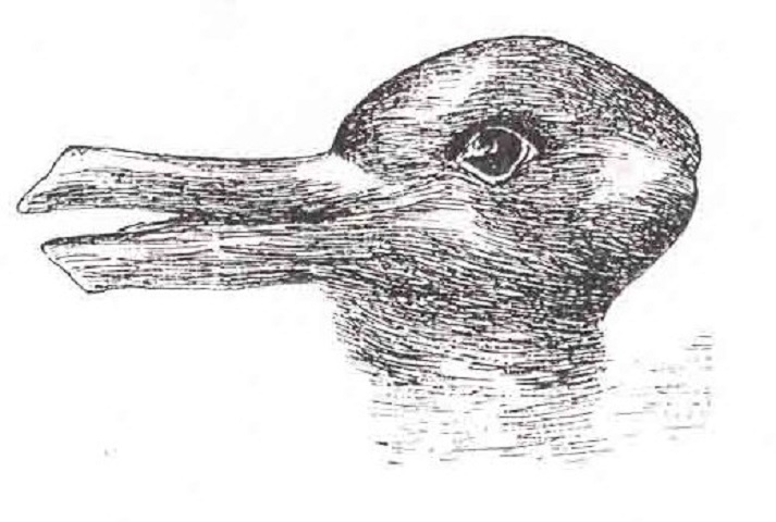 optical illusion showing a duck (facing left) and a rabbit (facing right) at the same time