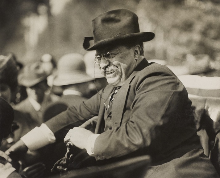 Theodore Roosevelt, 1910