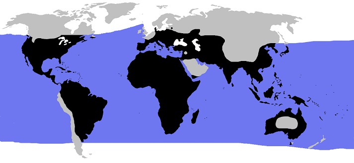 world turtle distribution map
