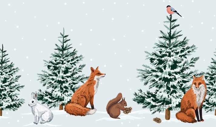 forest animals in the winter