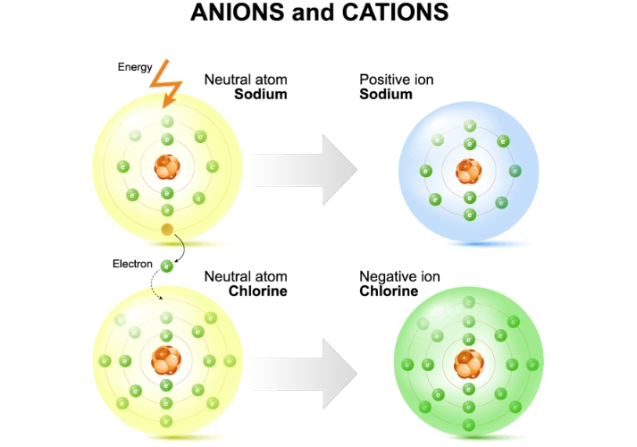 anions and cations