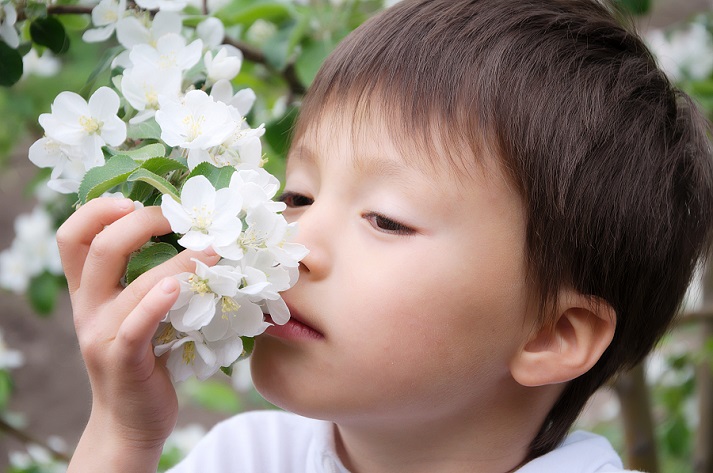 boy smelling flower