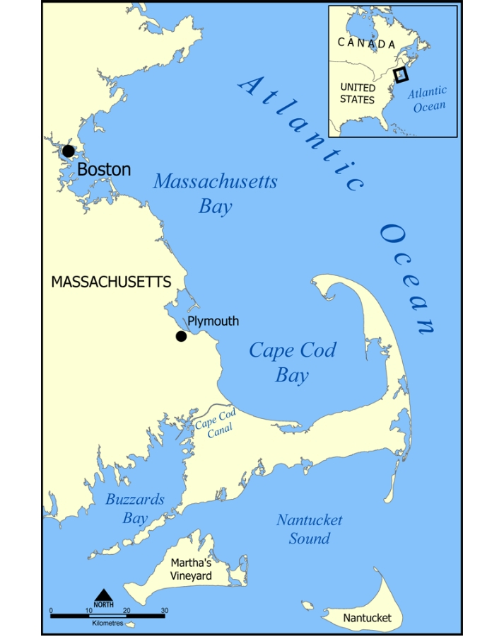 Cape Cod Bay map