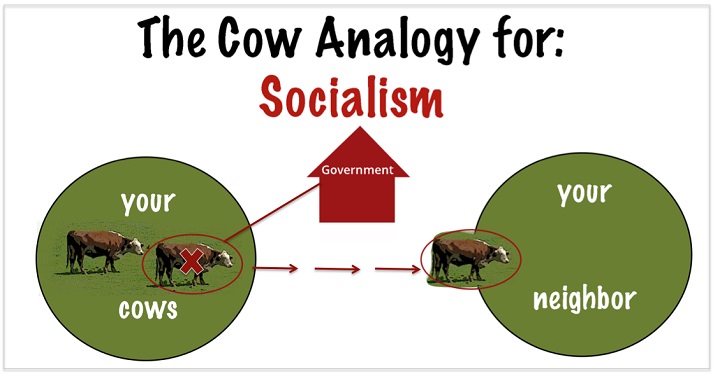 cow analogy for socialism
