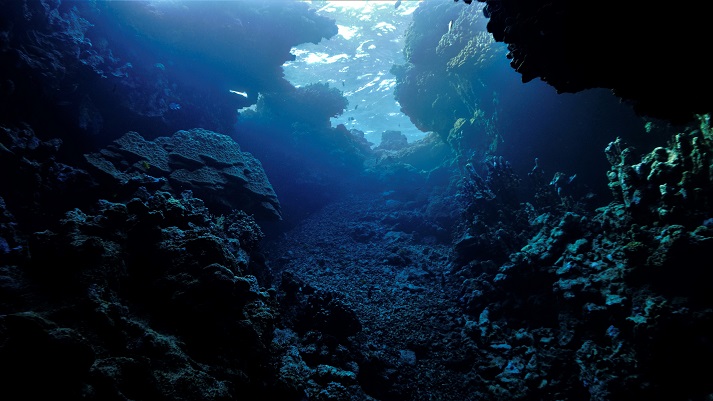 deep sea image