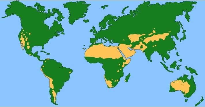 world's largest deserts