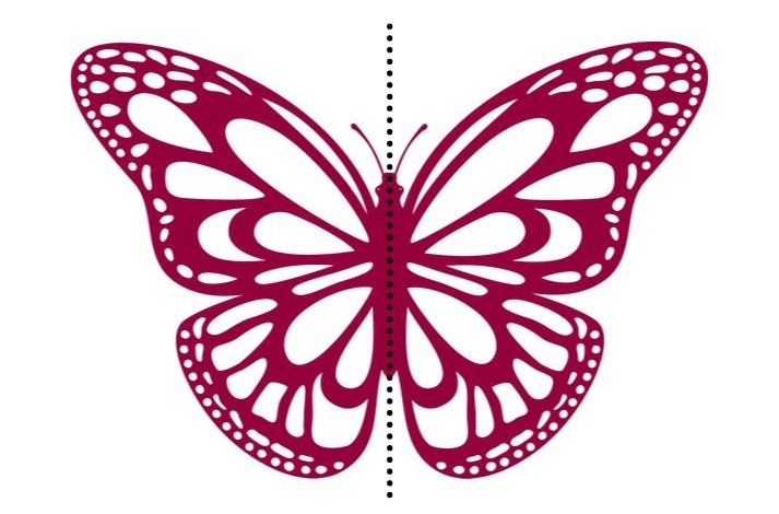 symmetric butterfly