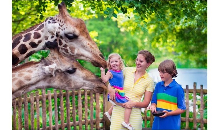 family at the zoo