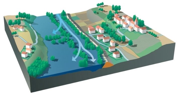flood zone plan