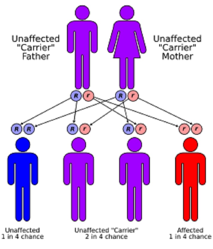 genetic markers