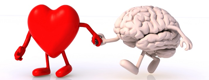 heart and brain that walk hand in hand