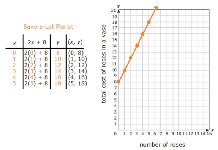 graph Save a Lot Florist equation
