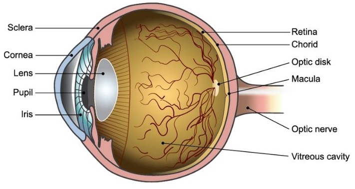 inner eye diagram