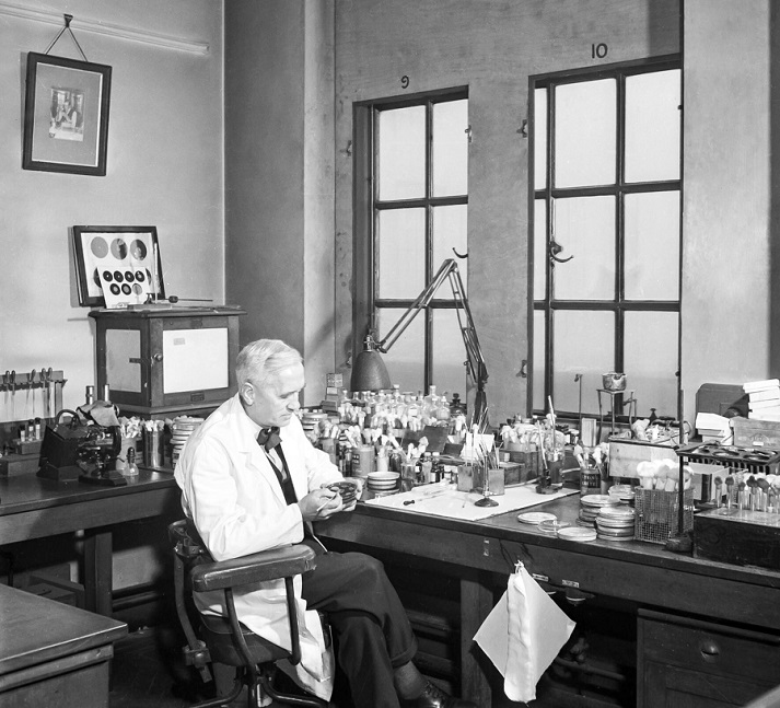 Alexander Fleming in his laboratory