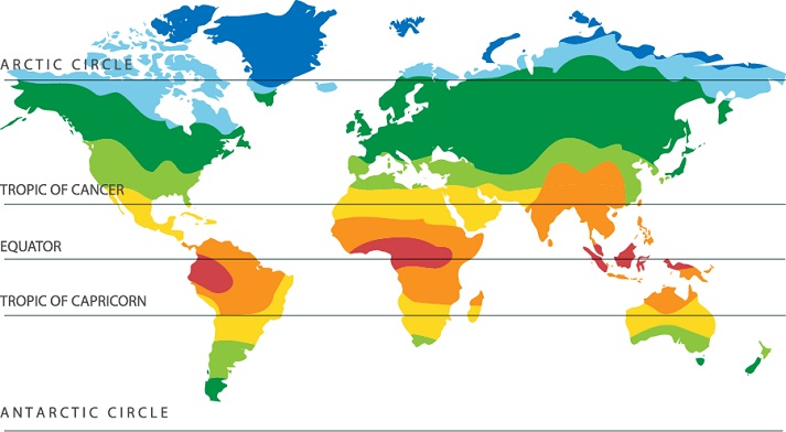 Where Do Marine Animals Live? Educational Resources K12 Learning, Earth