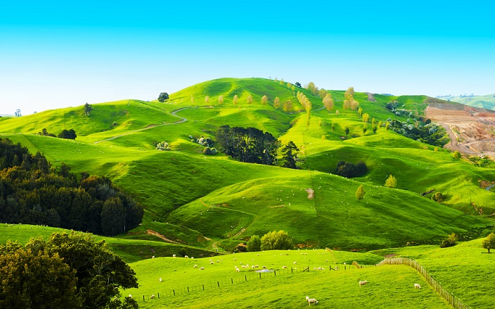 hills of New Zealand