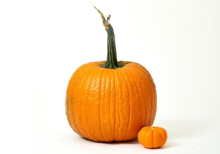 big and small pumpkin