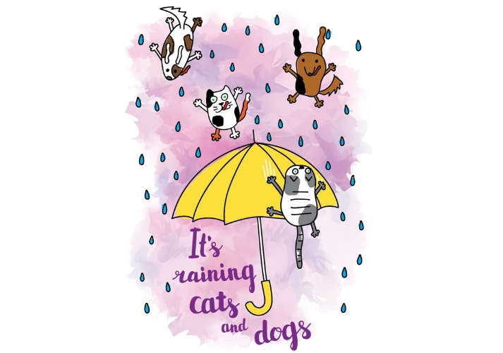 It's raining cats and dogs!
