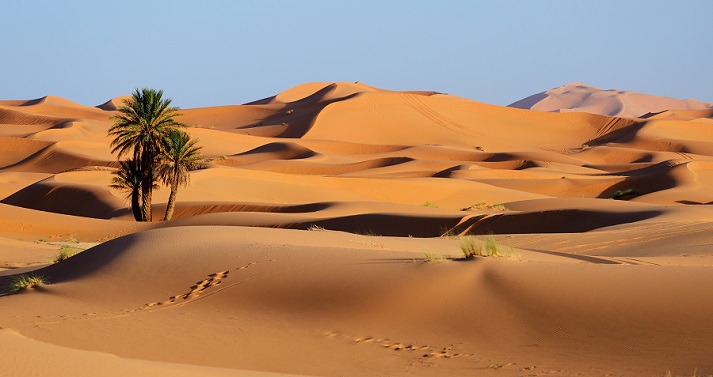 sand dunes of the Sahara