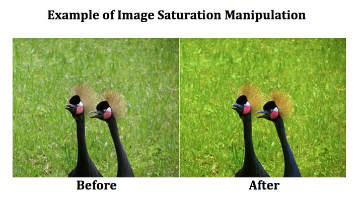 example of saturation manipulation