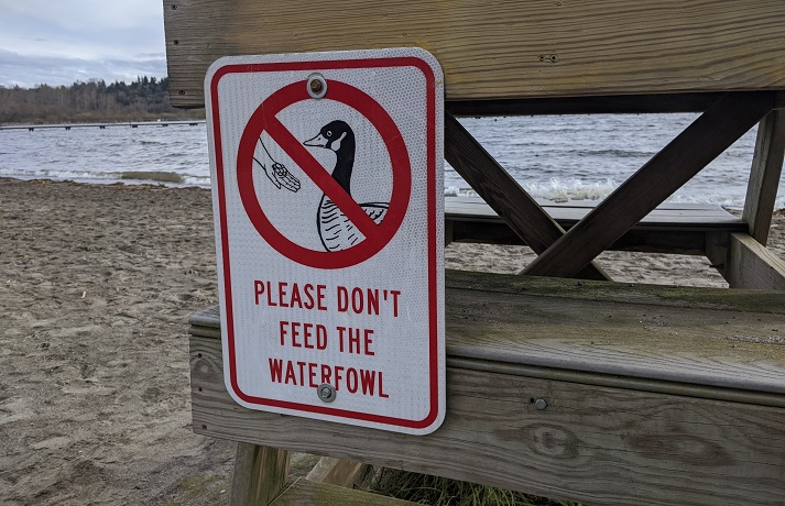 do not feed waterfowl sign