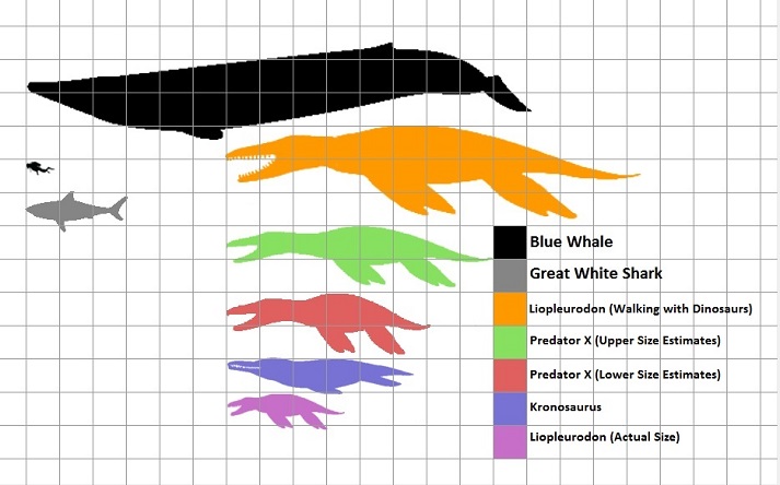 large predatory dinosaur size in comparison to a human, great white shark, and blue whale