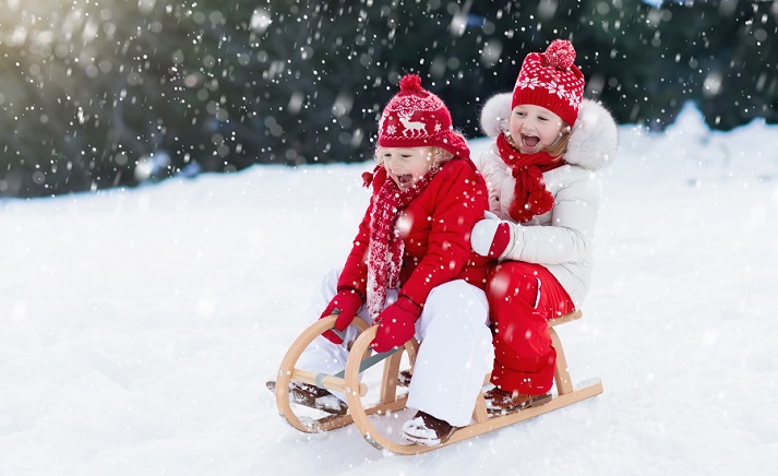 kids on a sled