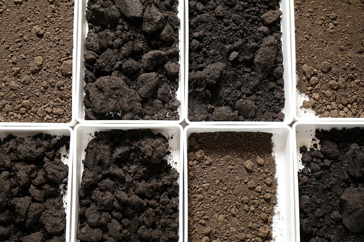 different soil samples
