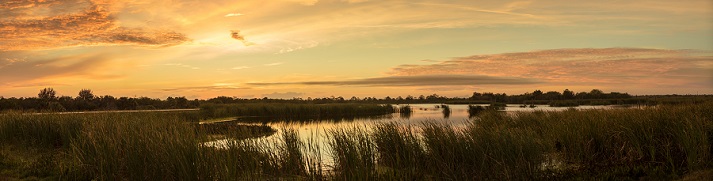 sunset in the Everglades 