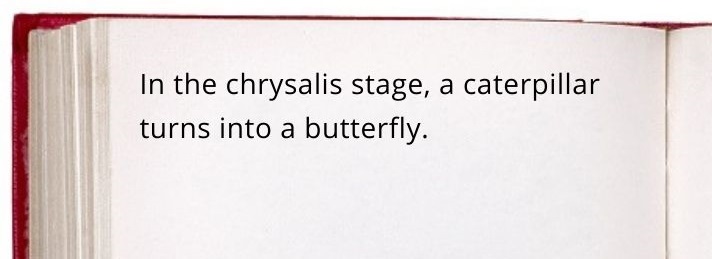chrysalis stage text