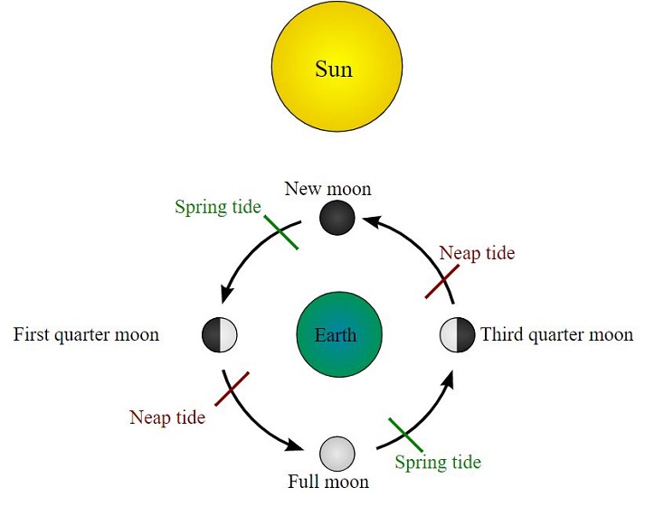 tide schematic