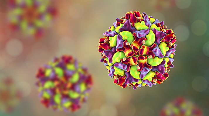 polio RNS virus