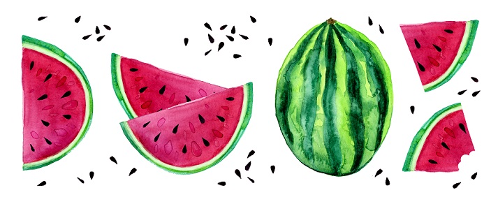 watercolor painting of watermelons