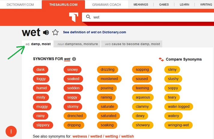 thesaurus screenshot showing synonyms for wet