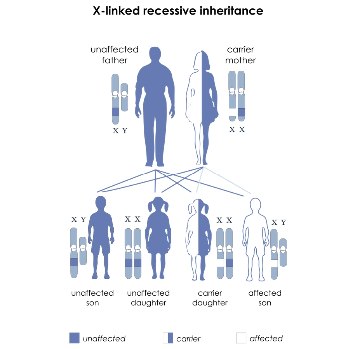 Genetic Disorders Educational Resources K12 Learning, Life Science ...