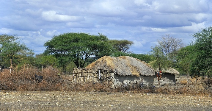 Zulu house