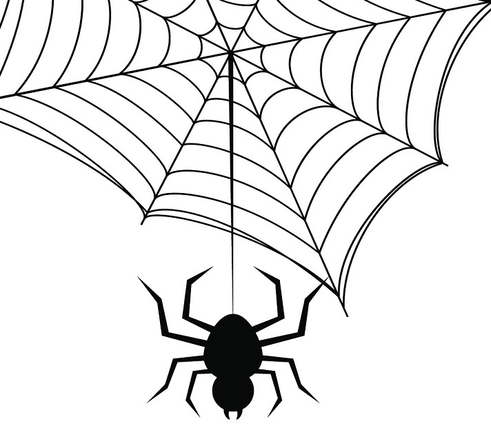 Lesson - Arachnids Educational Resources K12 Learning