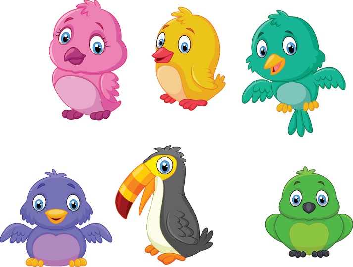 Lesson - Animal Classification: Birds Educational Resources K12 Learning