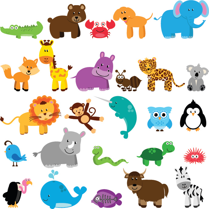 Lesson - Animal Classification: Final Project Educational Resources K12 Learning