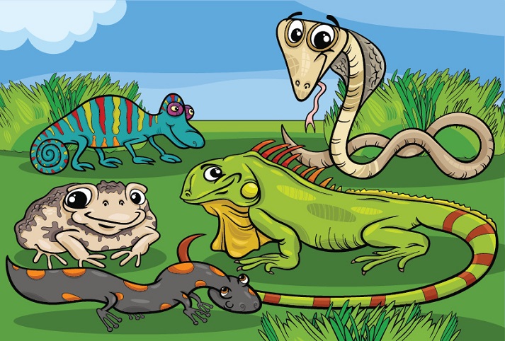 Lesson - Animal Classification: Reptiles Educational Resources K12 Learning