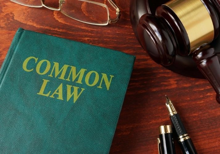 U.S. Common Law Educational Resources K12 Learning