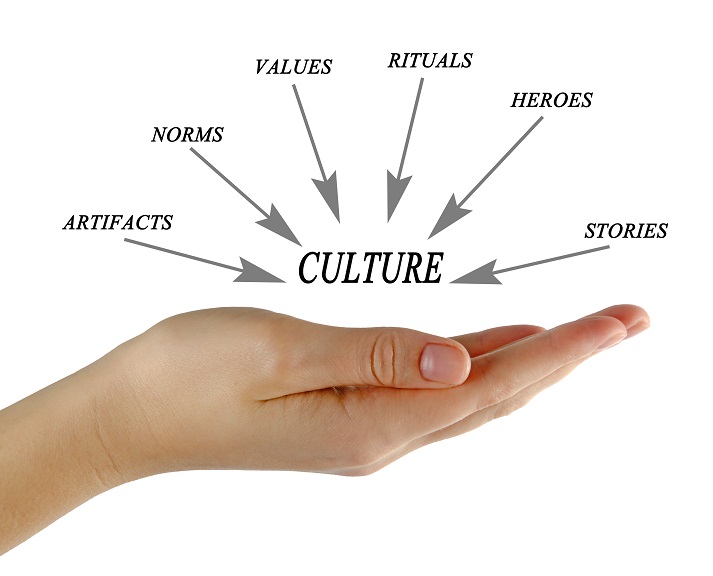 Lesson - Components of Culture Educational Resources K12 Learning