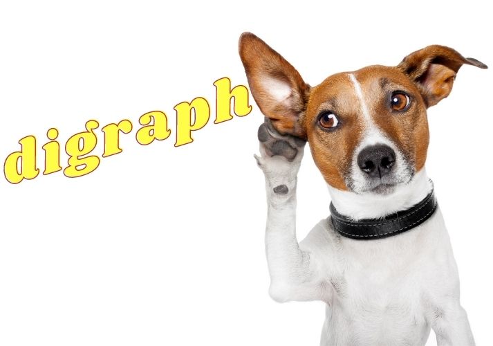 Digraphs: 1 Sound, 2 Letters! Educational Resources K12 Learning