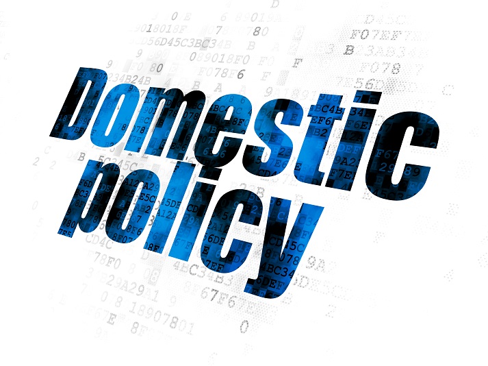 Lesson - Domestic Policy Educational Resources K12 Learning
