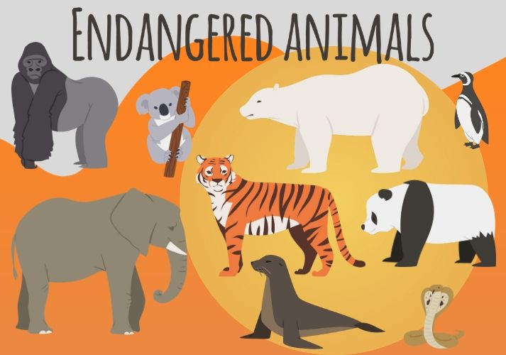 Why Are Species Endangered? Educational Resources K12 Learning