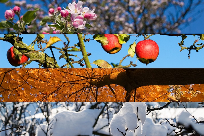 Lesson - Explore Patterns in Springtime Educational Resources K12 Learning