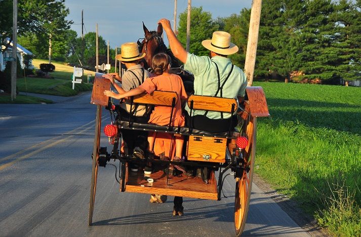 Lesson - The Amish Educational Resources K12 Learning